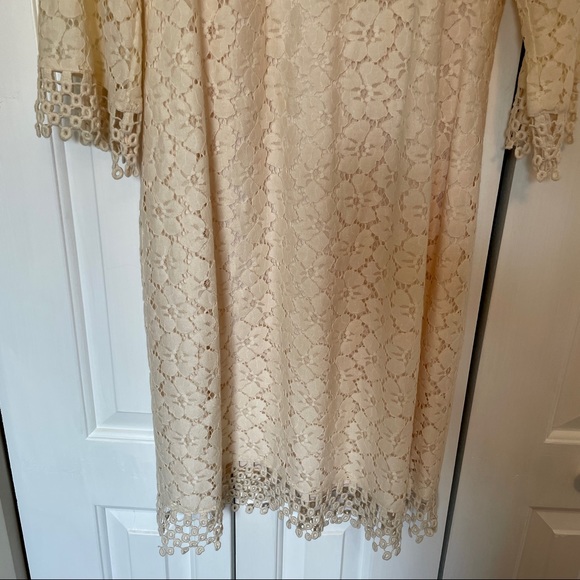 Adrianna Papell Brynna Lace Dress - Stitch Fix - Picture 2 of 9
